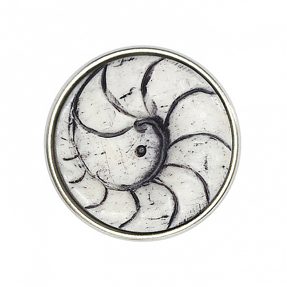 Nautilus
